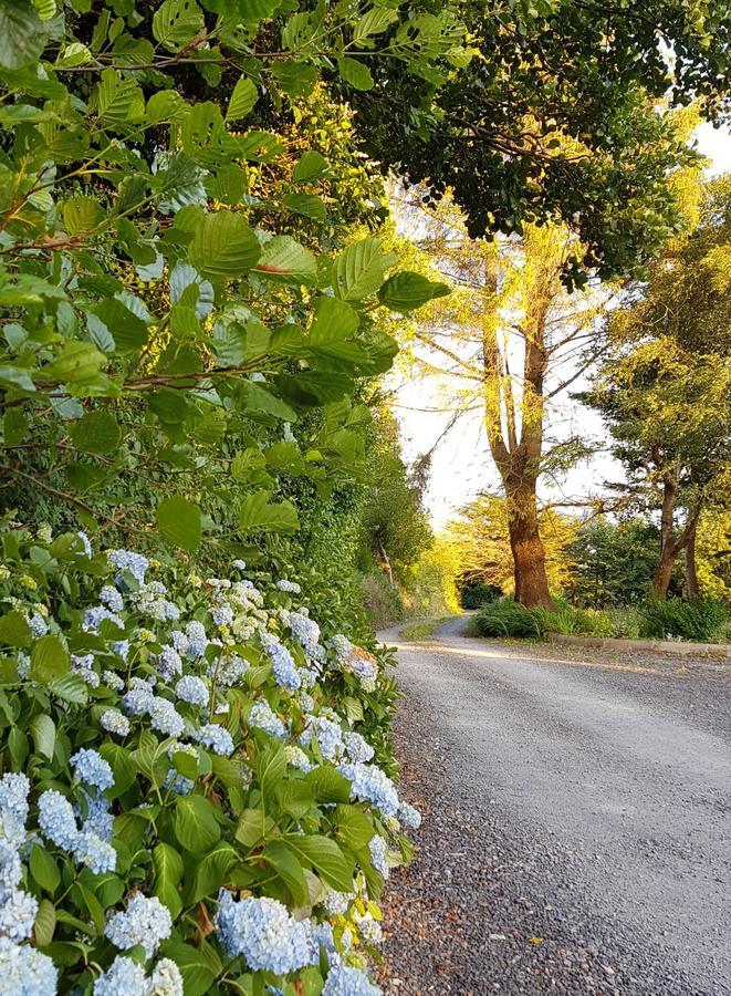 Alderwood House Bed & Breakfast Castlemaine Bagian luar foto